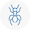 Ant Removals In Bromley Cross