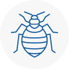 Bed Bug Extermination In Bromley Cross