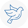 Bird Prevention Bromley Cross