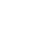 Domestic Ant Control For Bromley Cross