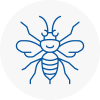 Bromley Cross Hornet Nest Removals