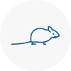 Mice Exterminators In Bromley Cross