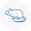 Rat Control Bromley Cross