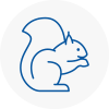 Bromley Cross Rodent Removals