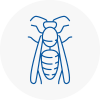 Bromley Cross Wasp Nest Removal